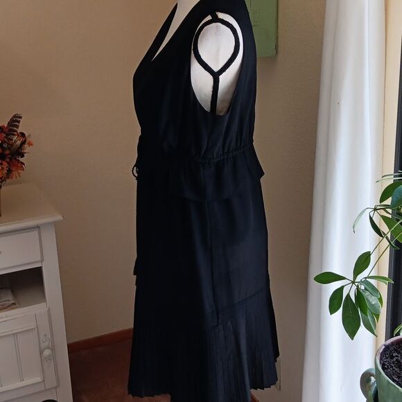 Max Studio Pleated Dress - Picture 7 of 14